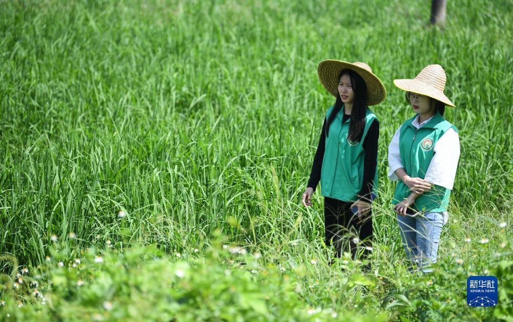捕鱼游戏破解版